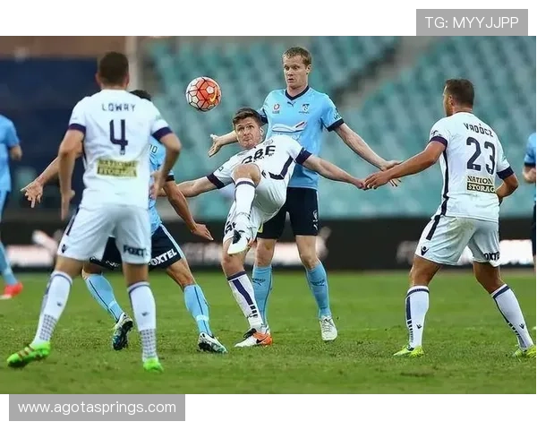 波波破门格兰特乌龙悉尼平奥克兰